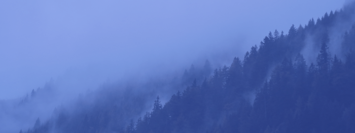 canva header