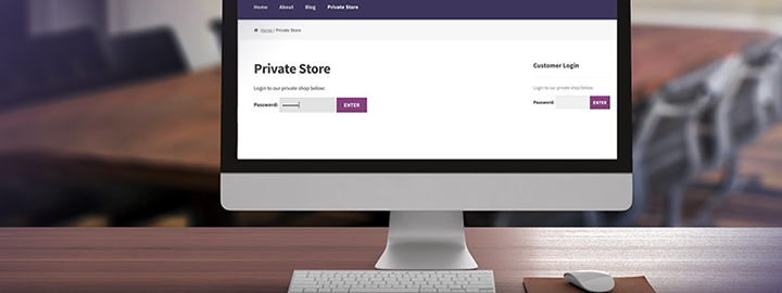 Review: Two Ways to Create a Password Protected WooCommerce Store