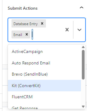 Lead Capture Form